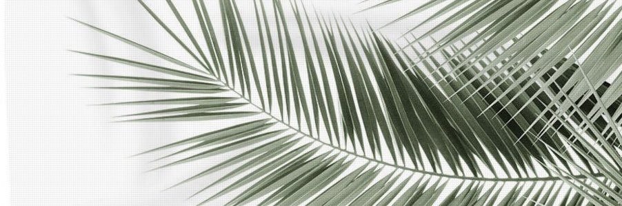 JaidaWiege's profile banner image