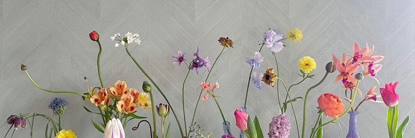 mohae8's profile banner image