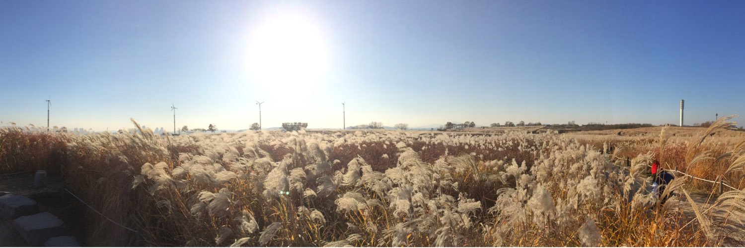 미우 🐙🐙🐙 banner