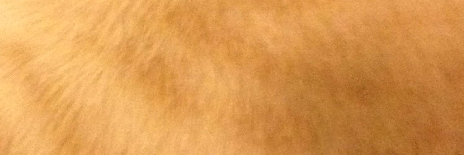MemeO39's profile banner image