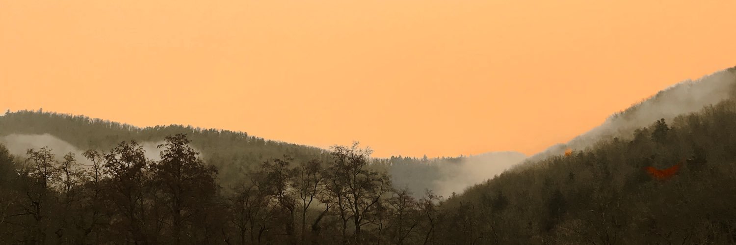 dammibrividi's profile banner image