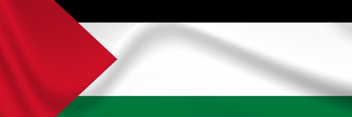 MAstGuL25's profile banner image