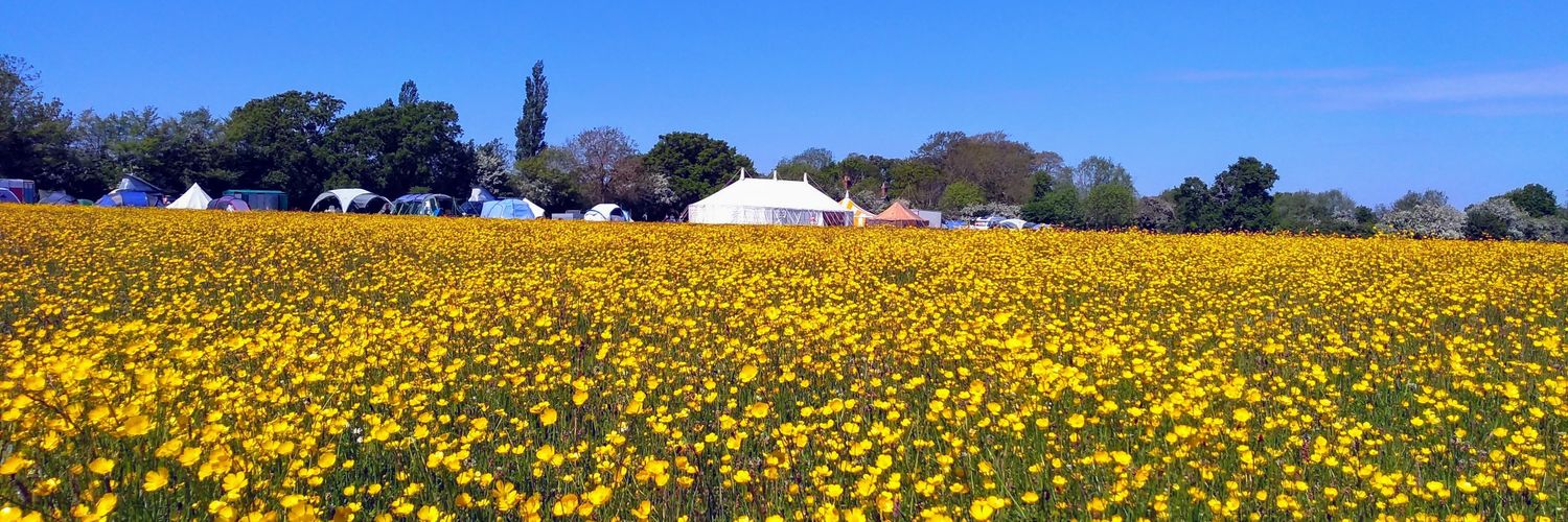 Deirdre Toher banner