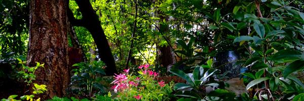 Kmholm Profile Banner