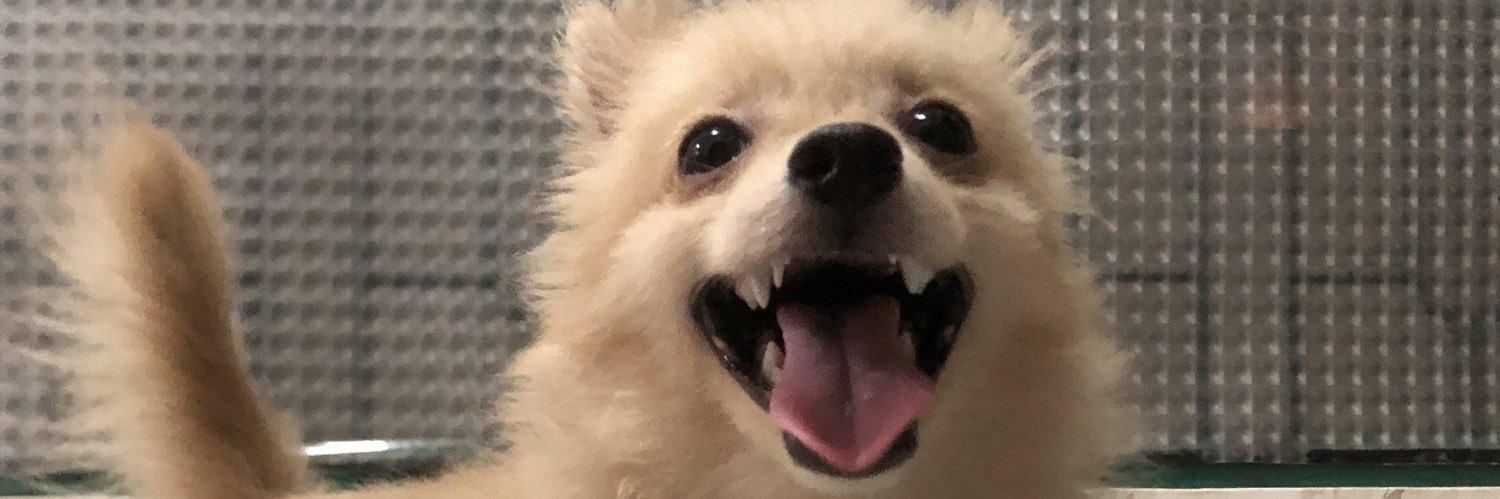 MelvernXue's profile banner image