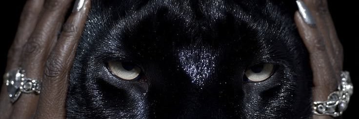 _layne07's profile banner image