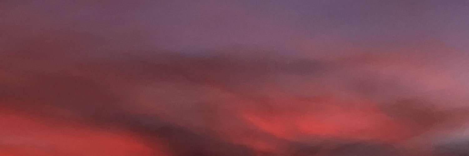 rinryneko's profile banner image