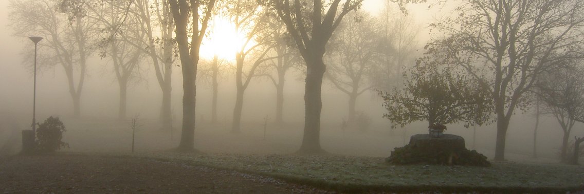 Anders Andersson banner