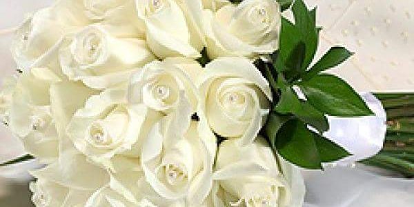 FarokMohsen's profile banner image