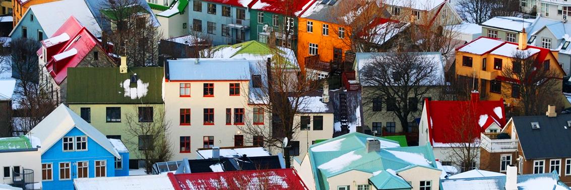 Dagbjört Hákonardóttir banner