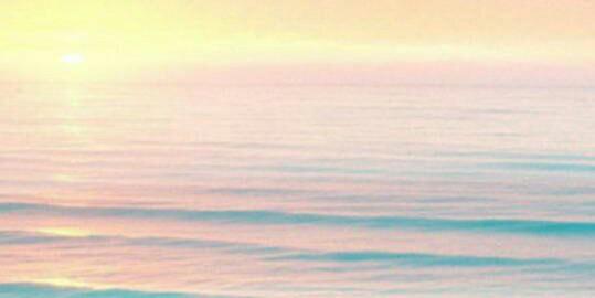 __weizi's profile banner image