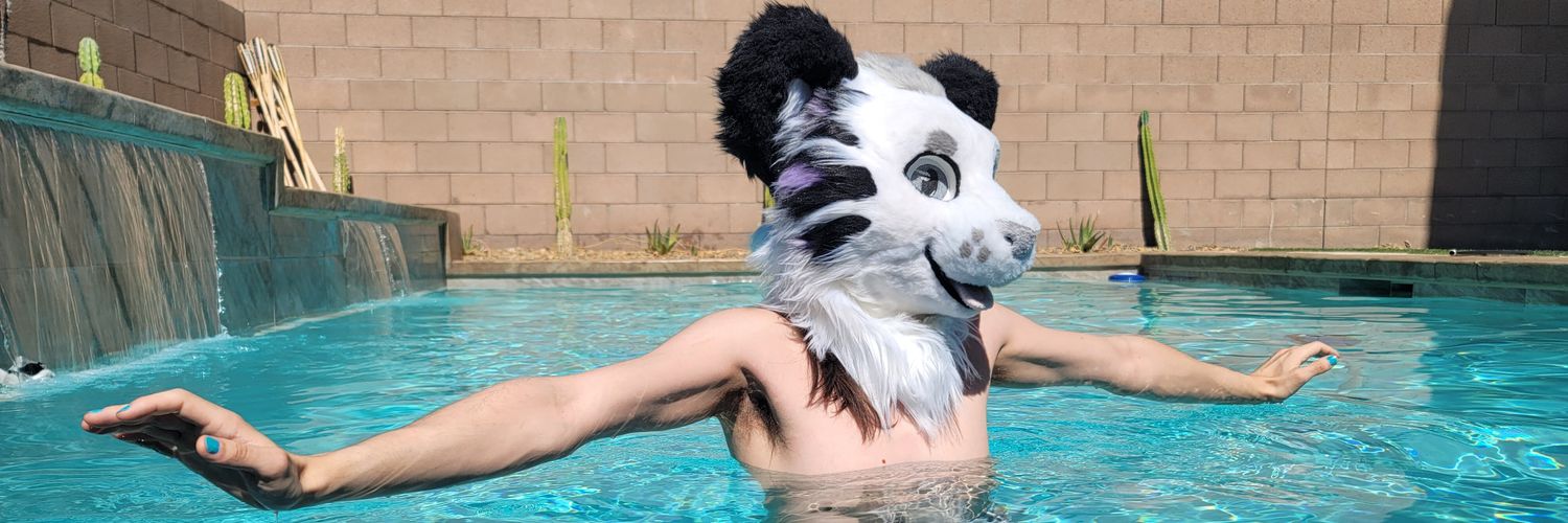 whitetigerfur's profile banner image