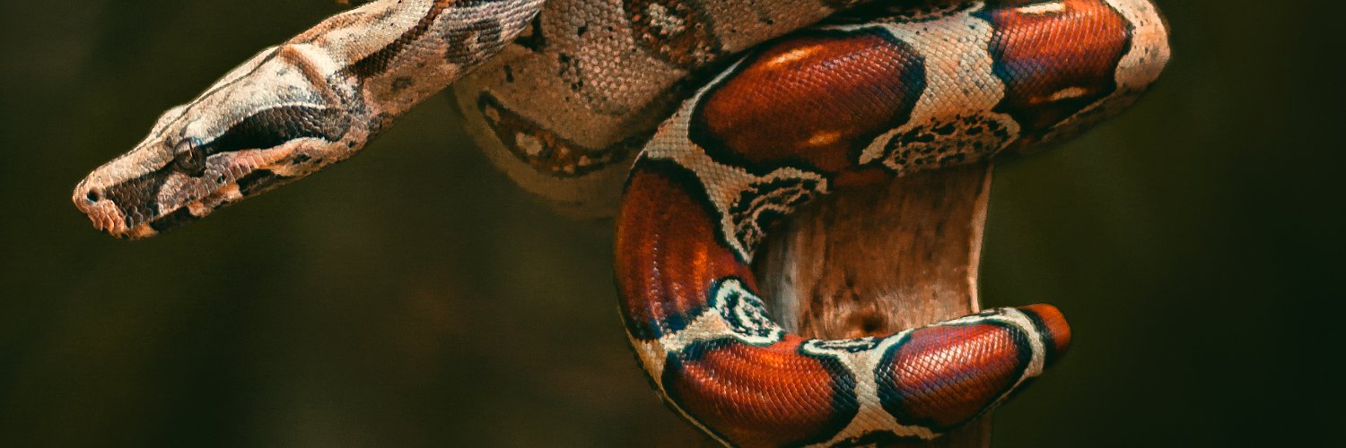 twiterluish's profile banner image
