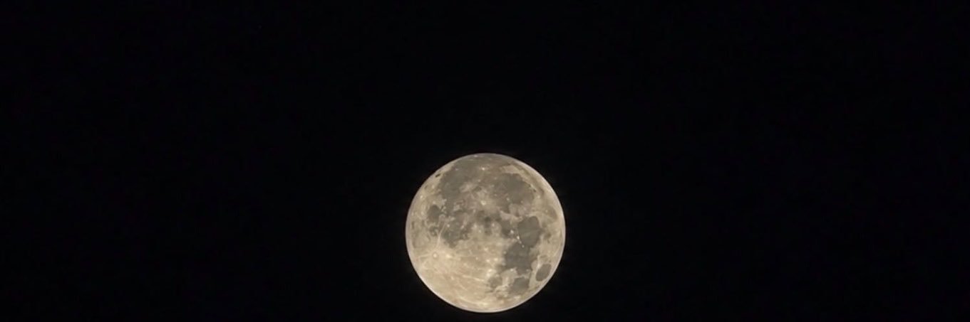 moodex_3's profile banner image