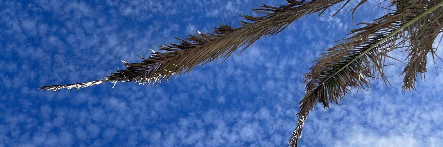 anthoninn9's profile banner image