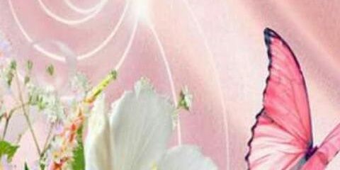 Tonizonte1's profile banner image