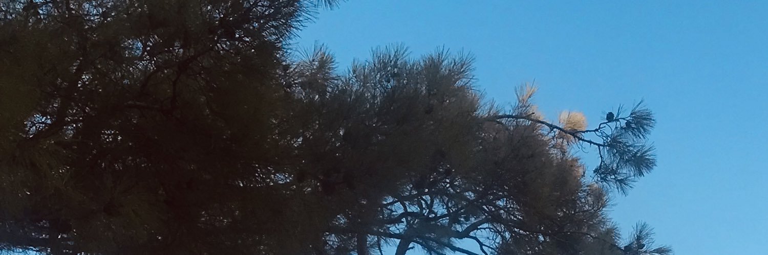 rokokoo0's profile banner image
