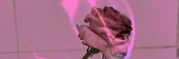 Endless___Tears's profile banner image