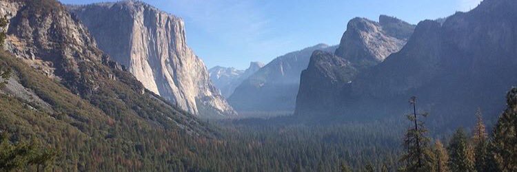 angelasherm's profile banner image