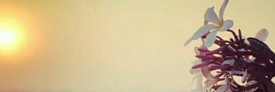 tabbi1412's profile banner image