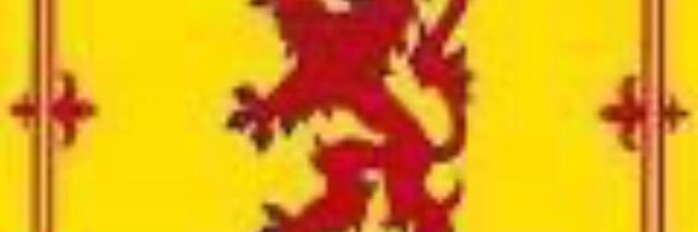 Sirnye's profile banner image