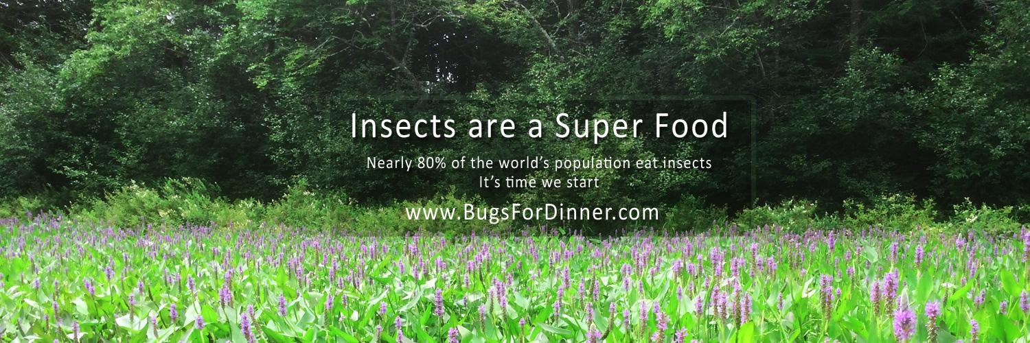 BugsForDinner's profile banner image