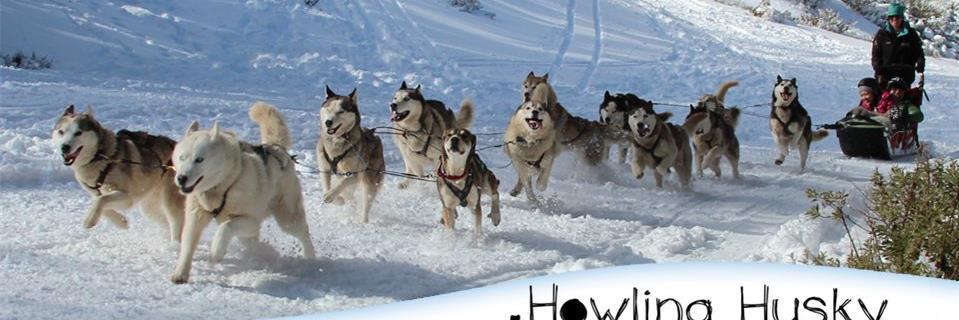 howlinghuskys's profile banner image