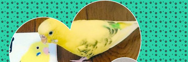 0930Chiba Profile Banner