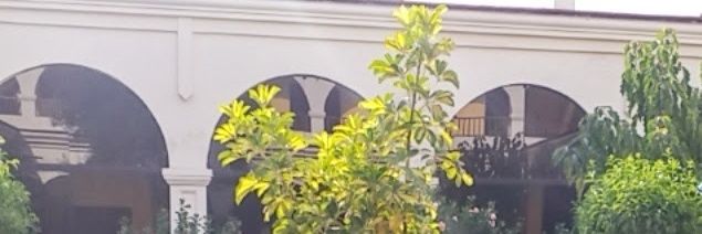 d_25diazS's profile banner image