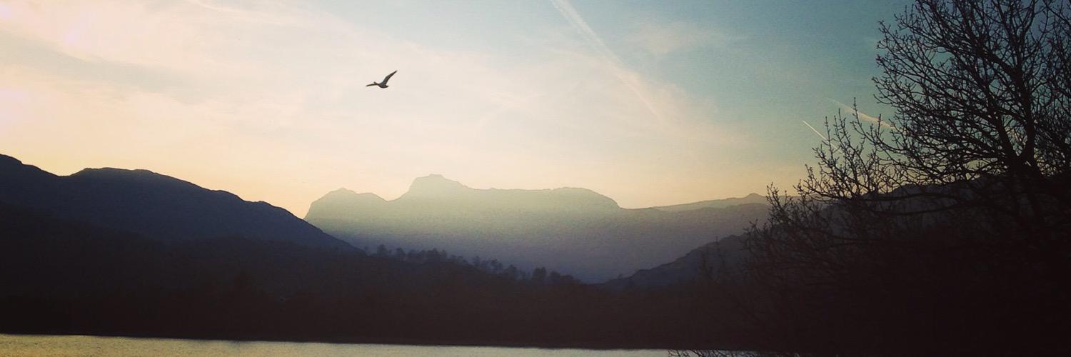 Emily Foulger banner