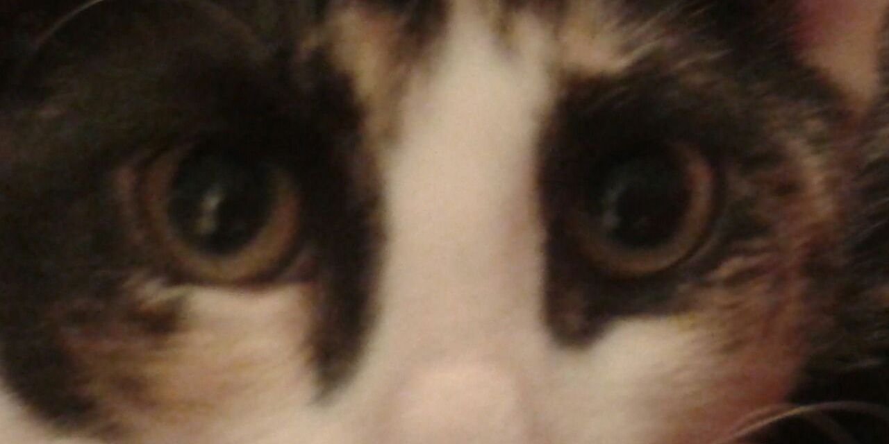 TateM13's profile banner image