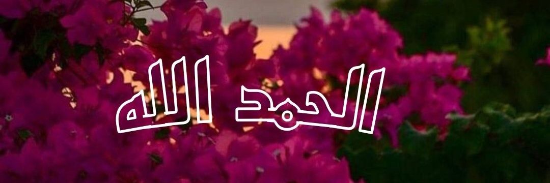 Rana🎀 banner