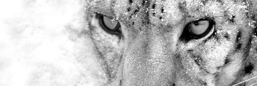 jiyhan94's profile banner image