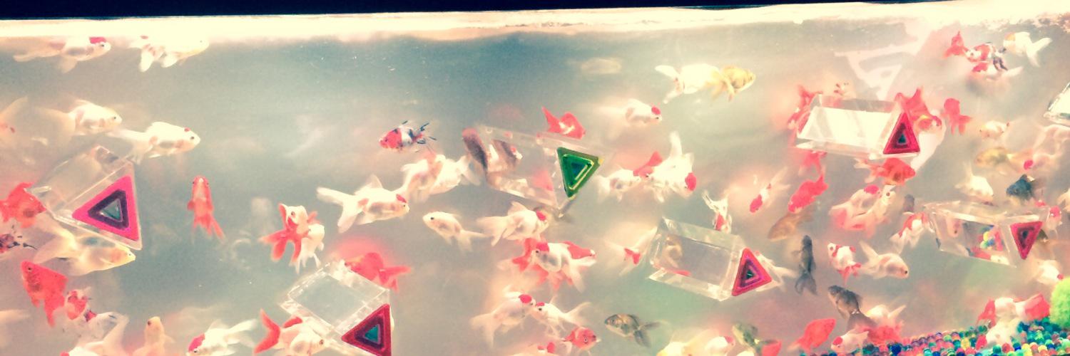 tmrx2ox3w's profile banner image
