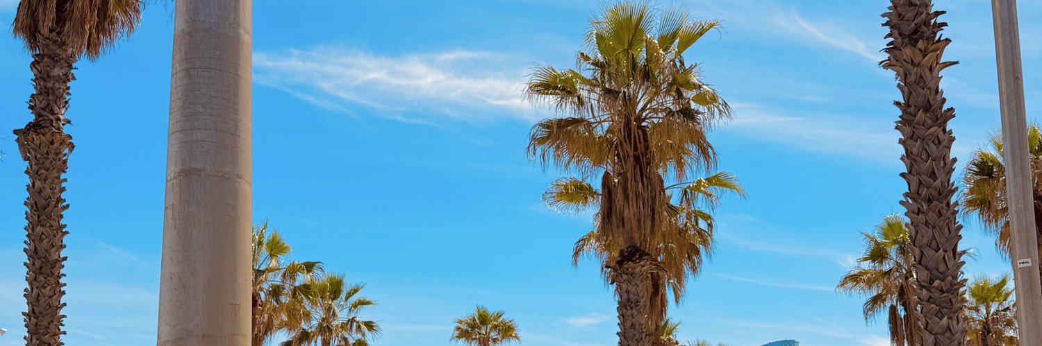 vidalex7's profile banner image