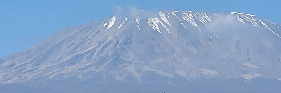 SesDavis's profile banner image