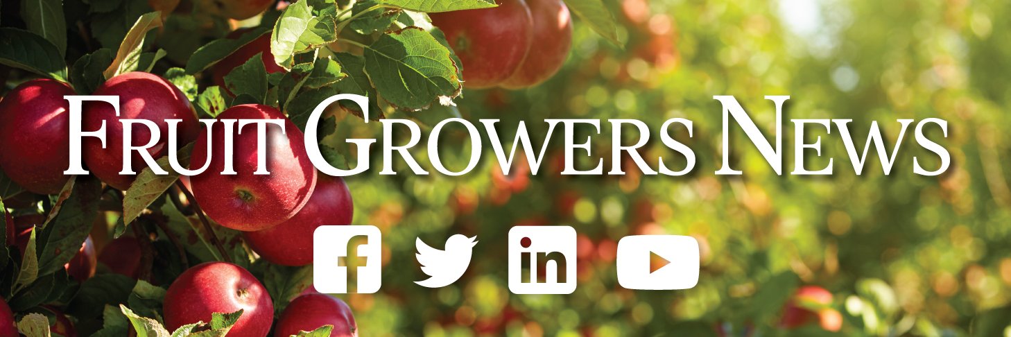 FGNews's profile banner image