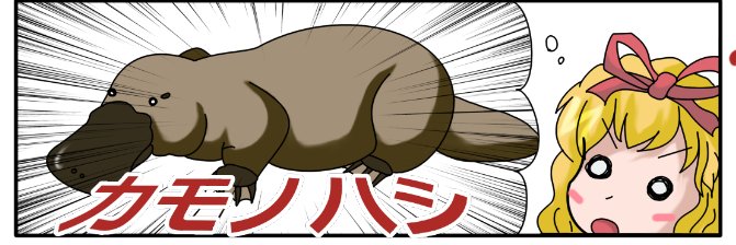 usikann's profile banner image