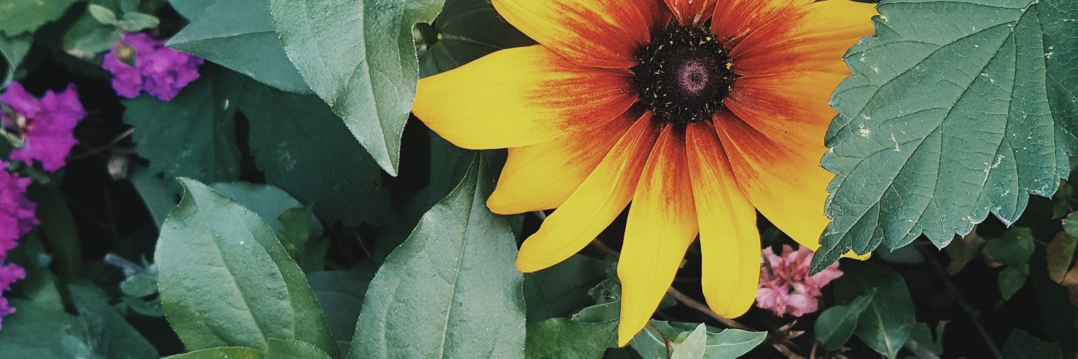 IsabelleMues's profile banner image