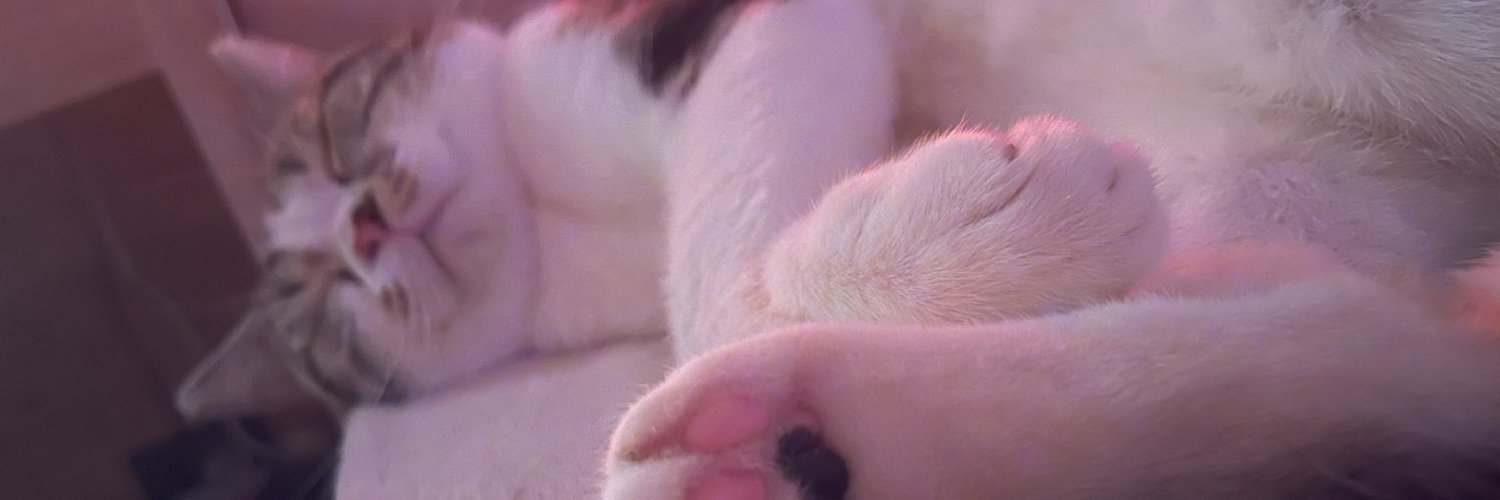 kittyy🐱💘 banner