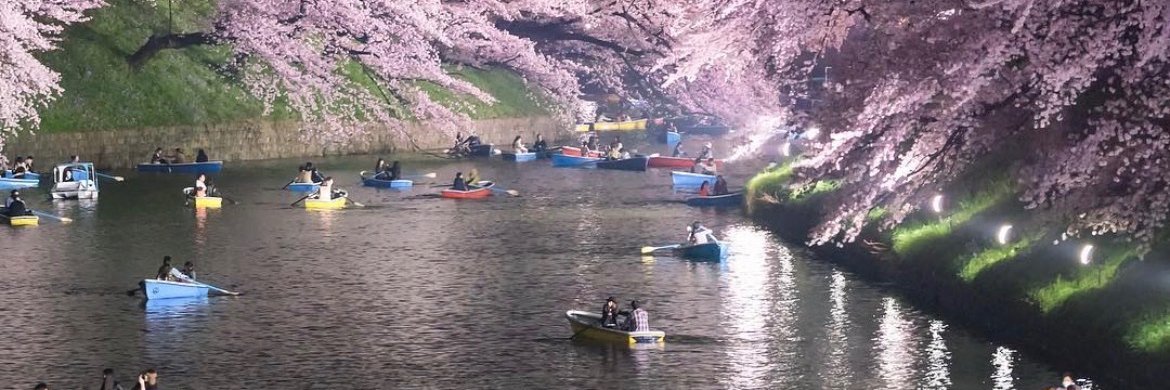 东瀛投手の株式市場 banner