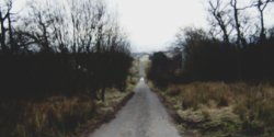 OhMyMattx's profile banner image