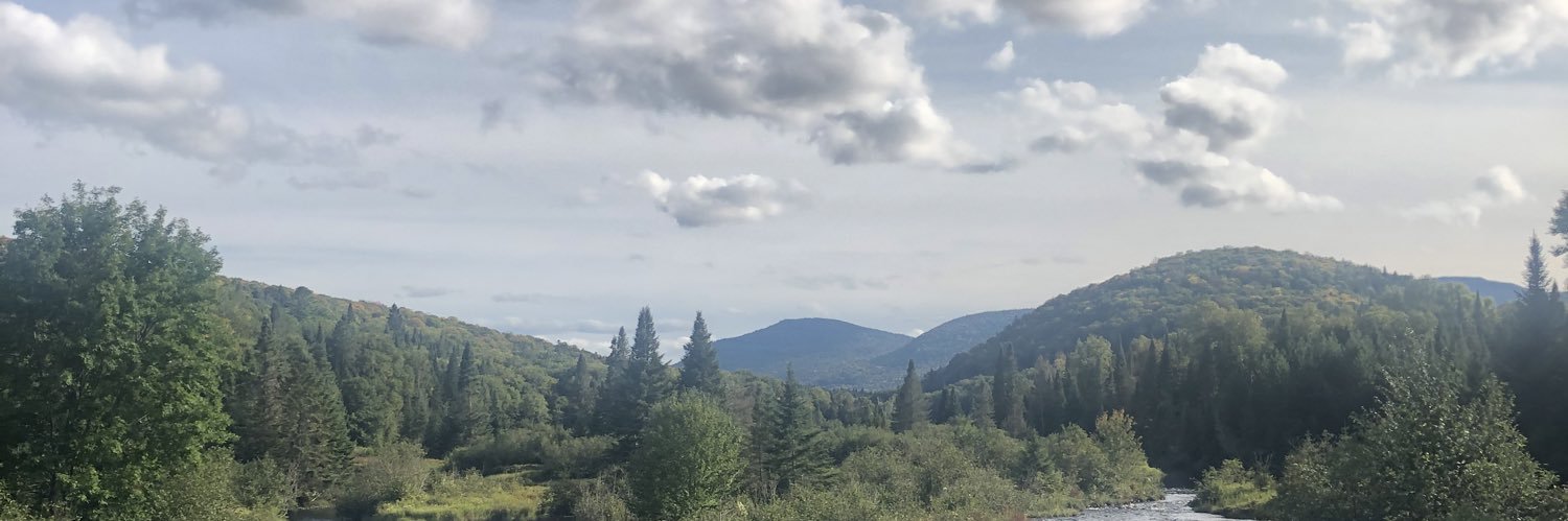 malloryament's profile banner image