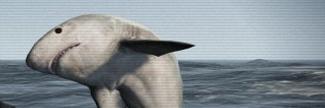 yodamanjeff's profile banner image