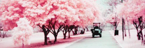 alleleanorcrew's profile banner image