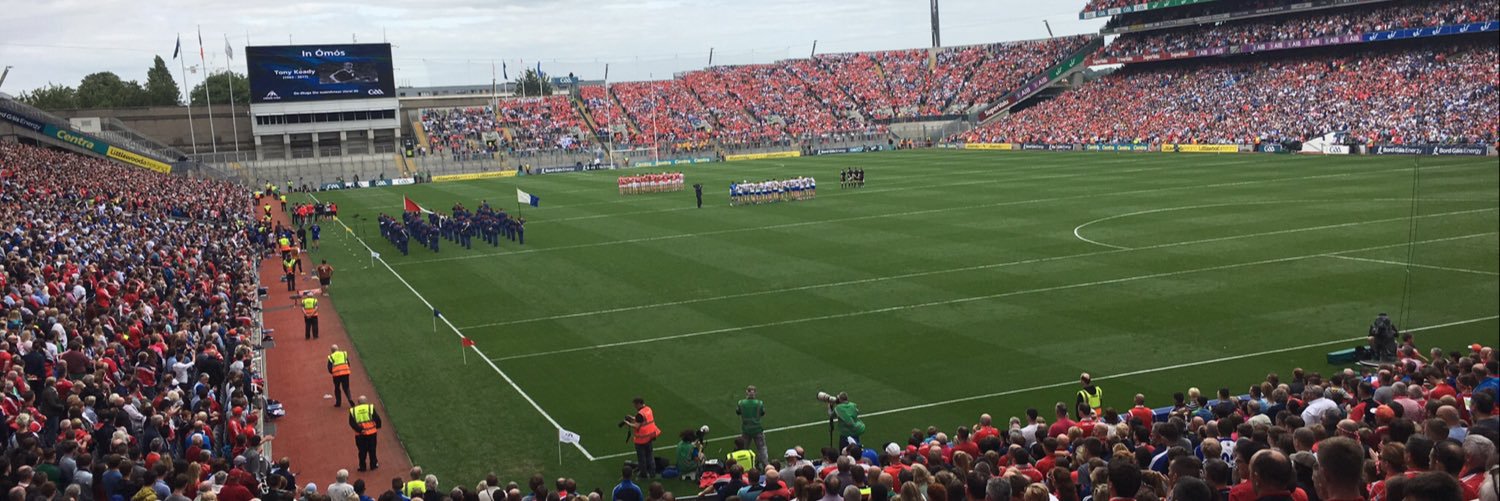 Dave McCarthy banner