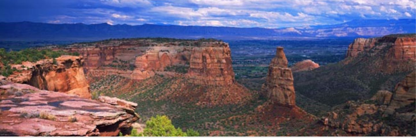 JillDrosche's profile banner image