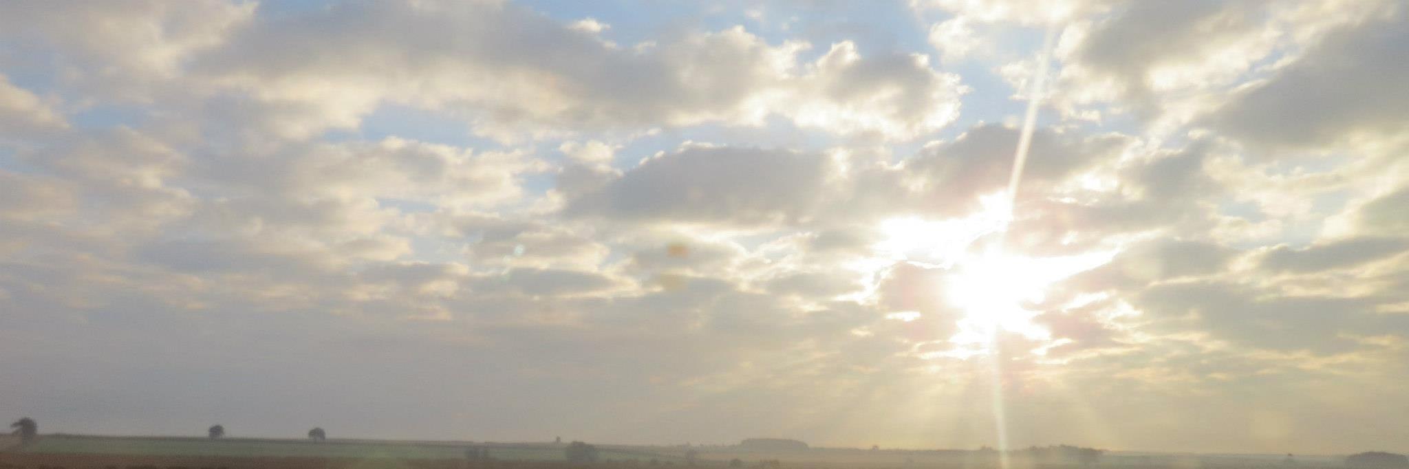 Emily Dickinson banner