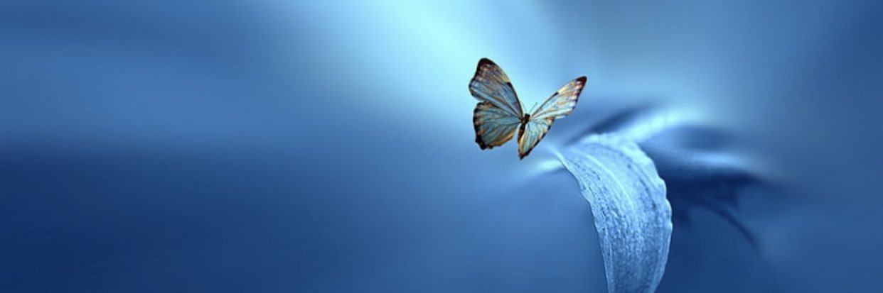 naatsoria's profile banner image