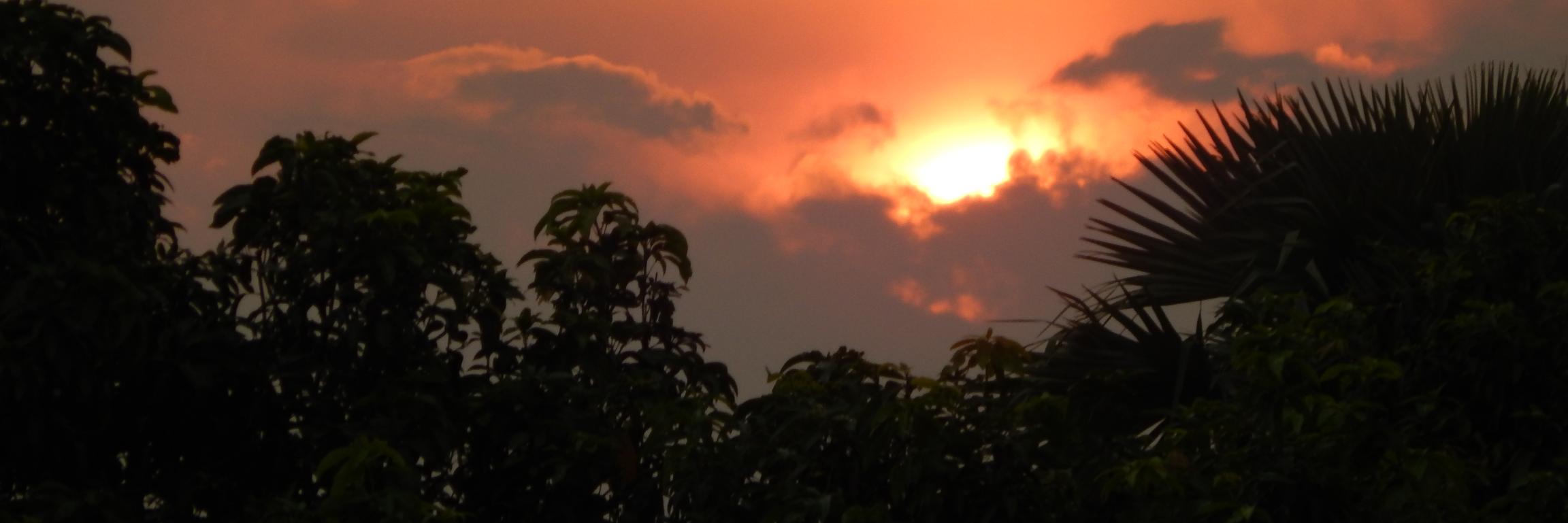 SarkarNaresh955's profile banner image